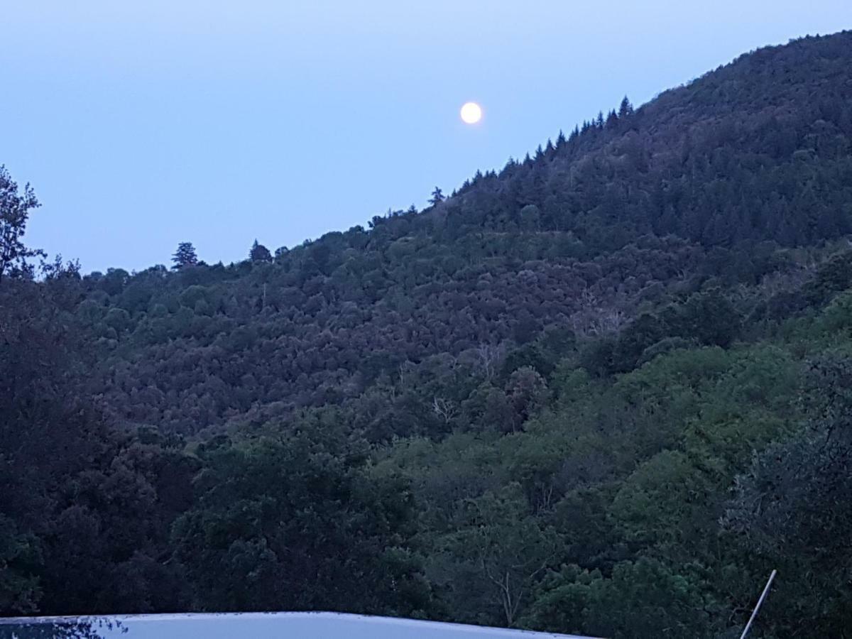 El Solei Paraiso En El Montseny อาร์บูเซียส ภายนอก รูปภาพ