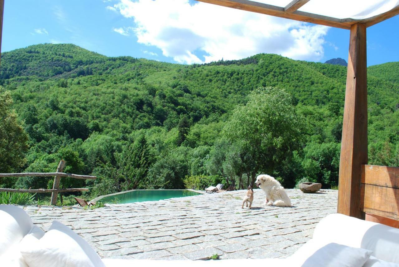 El Solei Paraiso En El Montseny อาร์บูเซียส ภายนอก รูปภาพ