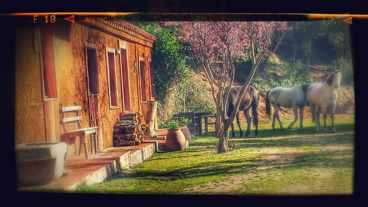El Solei Paraiso En El Montseny อาร์บูเซียส ภายนอก รูปภาพ
